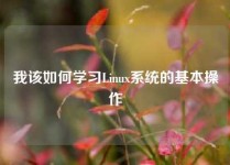 我该如何学习Linux系统的基本操作