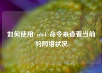 如何使用`cmd`命令来查看当前的网络状况