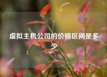 虚拟主机公司的价格区间是多少