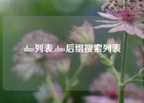 dns列表,dns后缀搜索列表