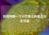 如何判断一个IP代理工具是否安全可靠