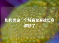 如何确定一个域名是否被恶意解析了