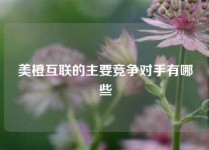 美橙互联的主要竞争对手有哪些