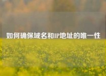 如何确保域名和IP地址的唯一性