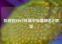 如何在DHCP环境中设置静态IP地址
