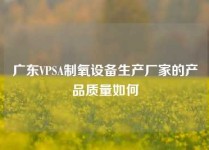 广东VPSA制氧设备生产厂家的产品质量如何
