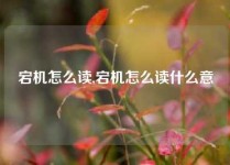 宕机怎么读,宕机怎么读什么意