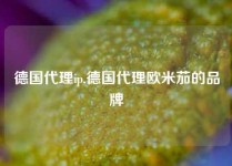 德国代理ip,德国代理欧米茄的品牌