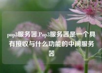 pop3服务器,Pop3服务器是一个具有接收与什么功能的中间服务器