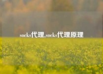 socks代理,socks代理原理
