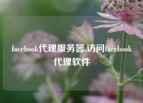 facebook代理服务器,访问facebook代理软件