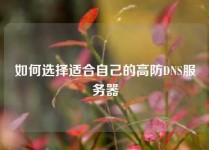如何选择适合自己的高防DNS服务器