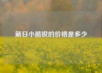 新日小酷锐的价格是多少