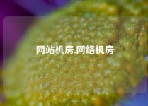 网站机房,网络机房