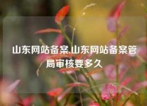 山东网站备案,山东网站备案管局审核要多久