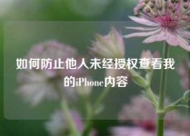 如何防止他人未经授权查看我的iPhone内容