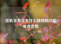 挂机宝有没有什么特别的功能或者优势