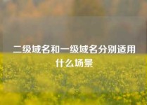 二级域名和一级域名分别适用什么场景