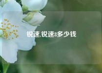 锐速,锐速8多少钱