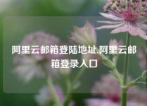 阿里云邮箱登陆地址,阿里云邮箱登录入口