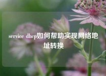 service dhcp如何帮助实现网络地址转换