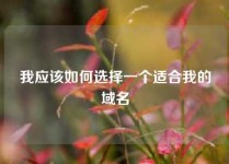 我应该如何选择一个适合我的域名