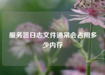 服务器日志文件通常会占用多少内存