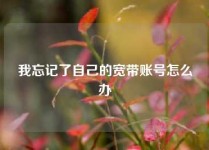 我忘记了自己的宽带账号怎么办
