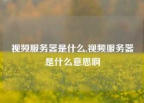 视频服务器是什么,视频服务器是什么意思啊