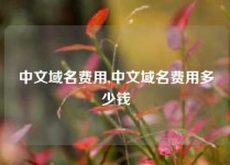 中文域名费用,中文域名费用多少钱