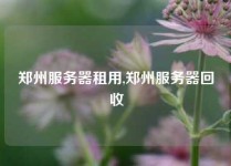 郑州服务器租用,郑州服务器回收