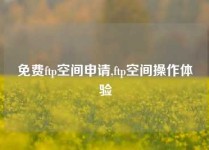 免费ftp空间申请,ftp空间操作体验