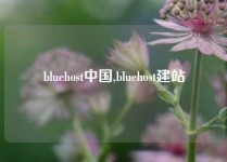 bluehost中国,bluehost建站