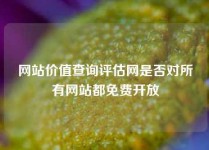 网站价值查询评估网是否对所有网站都免费开放
