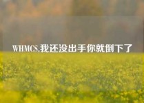 WHMCS,我还没出手你就倒下了