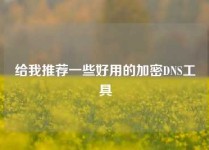 给我推荐一些好用的加密DNS工具