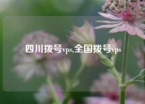 四川拨号vps,全国拨号vps