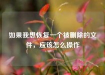 如果我想恢复一个被删除的文件，应该怎么操作