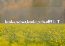 bandwagonhost,bandwagonhost搬瓦工