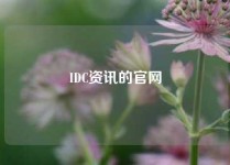 IDC资讯的官网