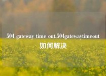 504 gateway time out,504gatewaytimeout如何解决