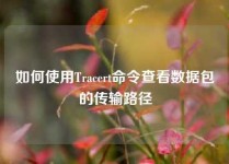 如何使用Tracert命令查看数据包的传输路径