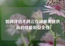 如何评估不同云存储服务提供商的性能和安全性