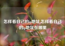 怎样看自己的ip地址,怎样看自己的ip地址在哪里