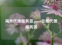 海外代理服务器,proxy在线代理服务器