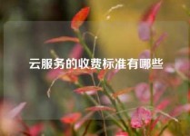 云服务的收费标准有哪些