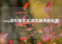 smtp虚拟服务器,虚拟服务器配置