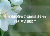 如何确保查询公司邮箱地址的行为不会被滥用