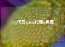 http代理ip,http代理ip免费