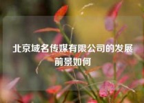 北京域名传媒有限公司的发展前景如何